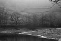 2019_02_09_Lac de Panneciere (0077)
